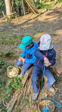 Stricken im Wald