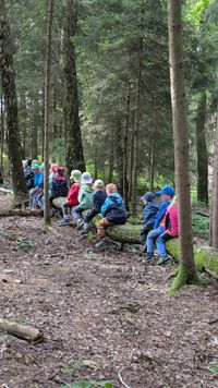 Unsere gro&szlig;e Waldwippe