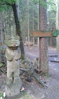 Wald Waldb&auml;r Holz